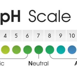 Is li+ acidic or neutral