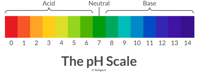 Ph wert scala skala acid alkaline acidic chart acide folle misurazione valore alcaline acidi alcalino soluzioni neutralen messung vektor alkalische