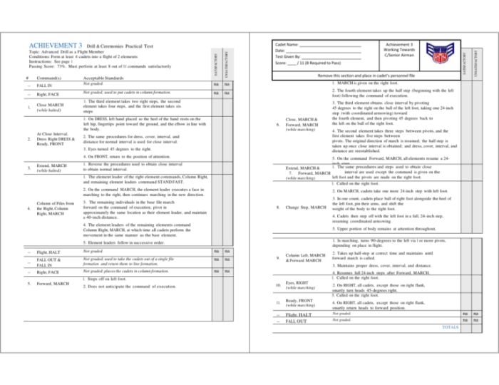 Cap achievement 7 drill test