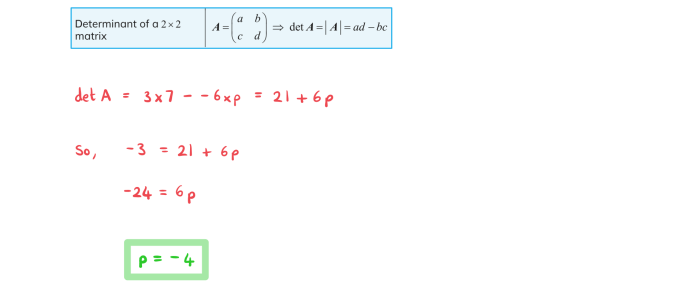 Matrix inverse adjoint nagwa determinants