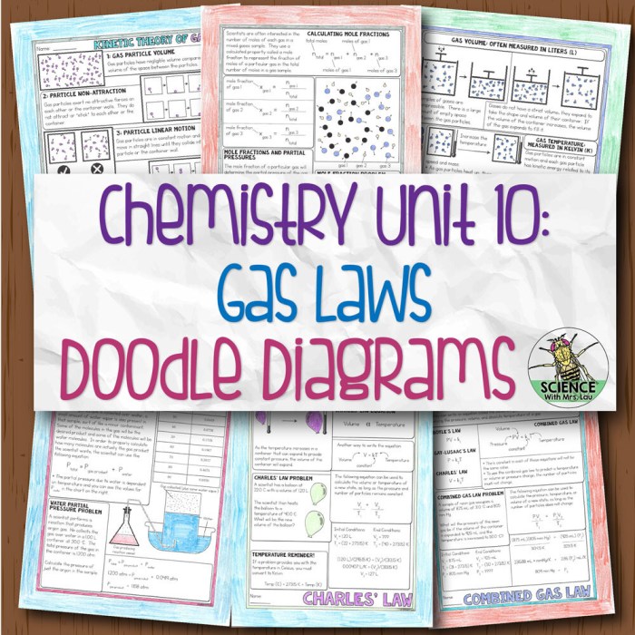 C bethany lau 2016 answer key