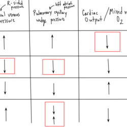 Nbme obgyn form 7 answers