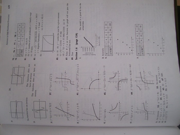 Saxon math algebra 1 answers